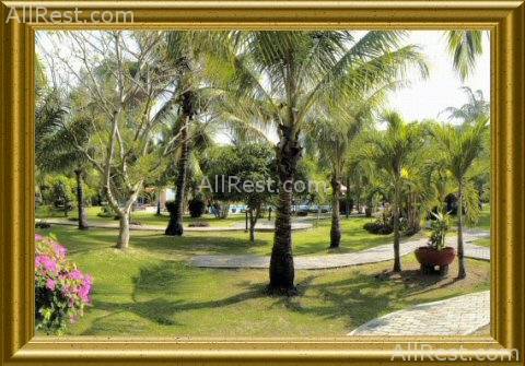 Patong Bayshore Hotel 13